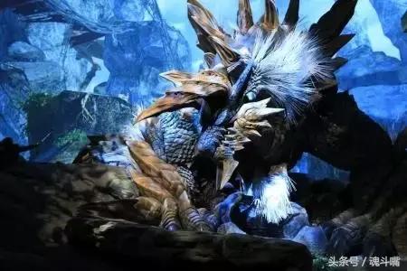 怪物猎人xx图鉴——高颜值狼族 