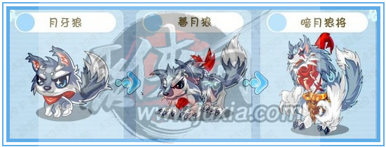 卡布西游绝版暗月狼将获得攻略