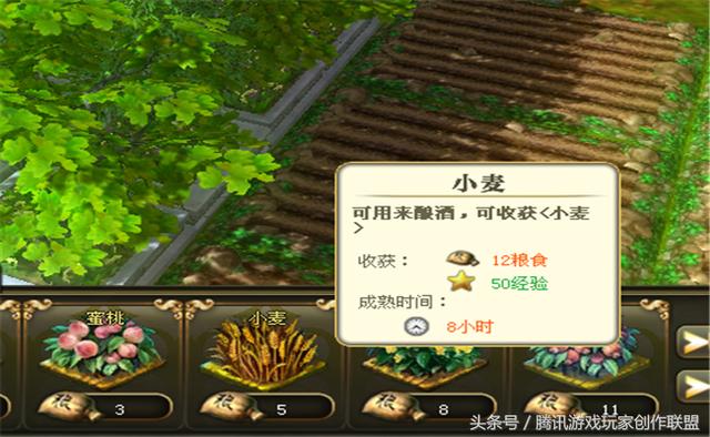 进阶攻略 庄园玩法攻略简介 进阶攻略 庄园玩法攻略简介