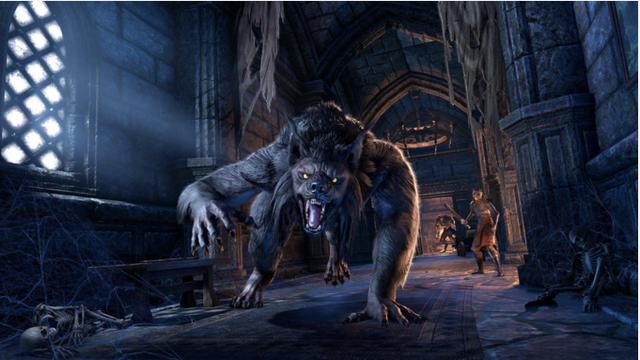 上古卷轴 狼猎人DLC很快就能得到 Murkmire DLC将在今年到来 上古卷轴 狼猎人DLC很快就能得到 Murkmire DLC将在今年到来